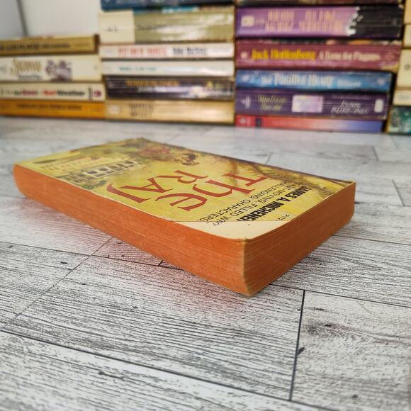 The Raj by Donald Robinson 1972 Fawcett Crest Historical Romance Adventure PB - Picture 9 of 12